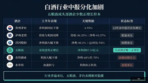 周深同款热歌若梦带你一起唱全场合